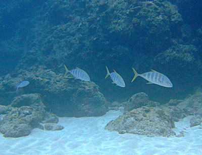 b0033573_18365599.jpg