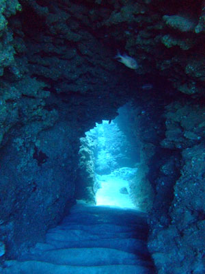 b0033573_18372510.jpg