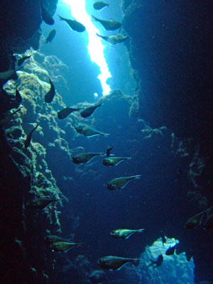 b0033573_18373560.jpg