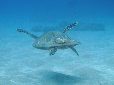 b0033573_18374392.jpg