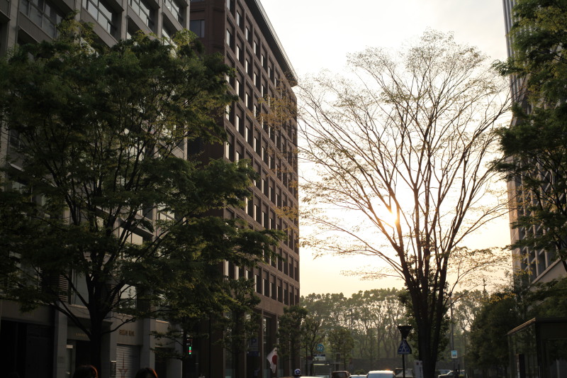 c0210275_2236874.jpg