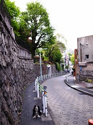 f0030875_025853.jpg