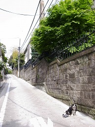 f0030875_030228.jpg