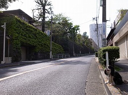 f0030875_074079.jpg