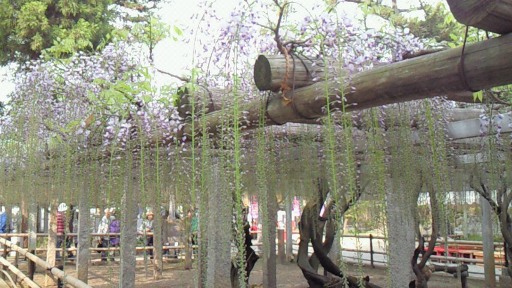 f0116278_1440157.jpg