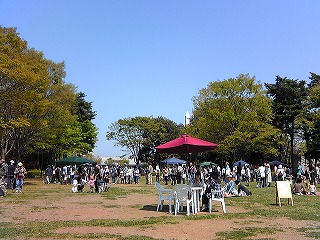 a0003079_001871.jpg