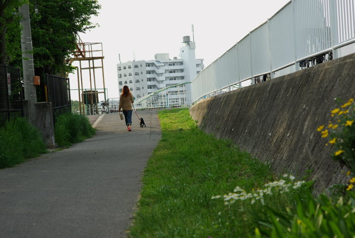 b0120979_13534162.jpg