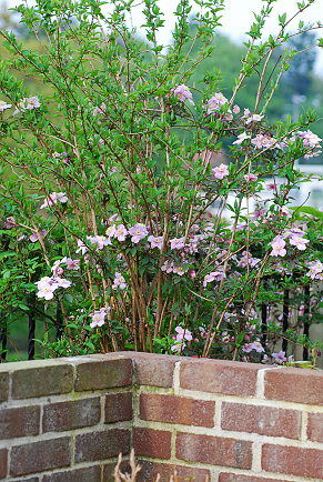 a0157581_8595156.jpg