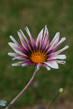 a0157581_93519.jpg