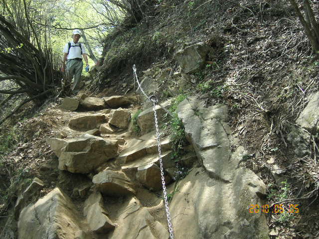 c0145582_20582215.jpg