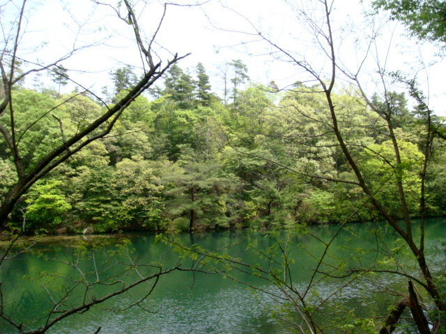 e0154682_037066.jpg