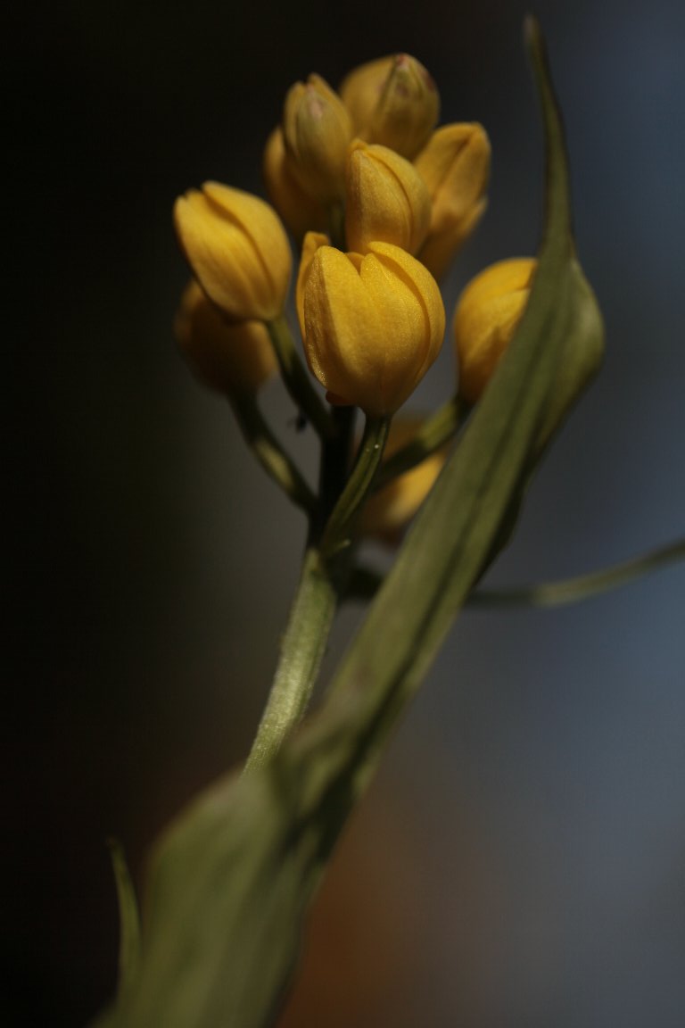 a0076683_7503462.jpg