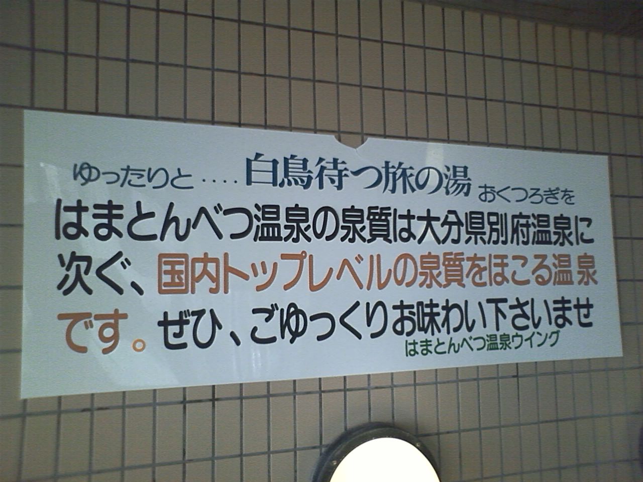 b0127783_13263536.jpg