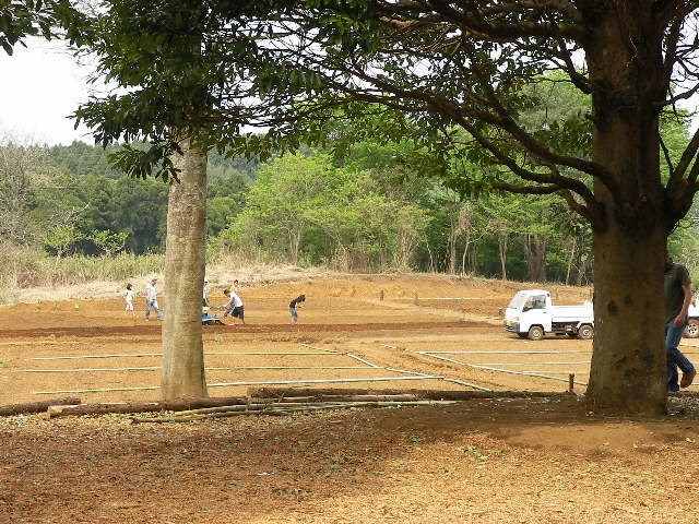 c0214384_21334176.jpg