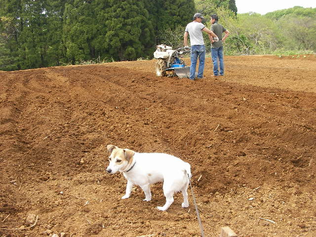 c0214384_21343378.jpg