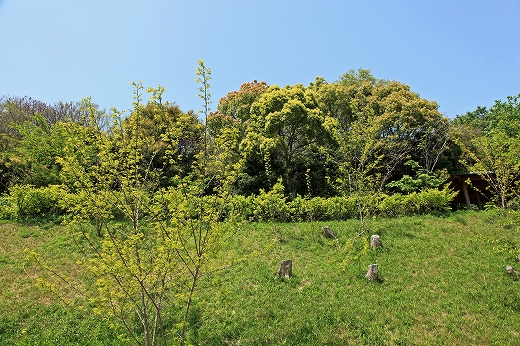 e0190885_16574094.jpg