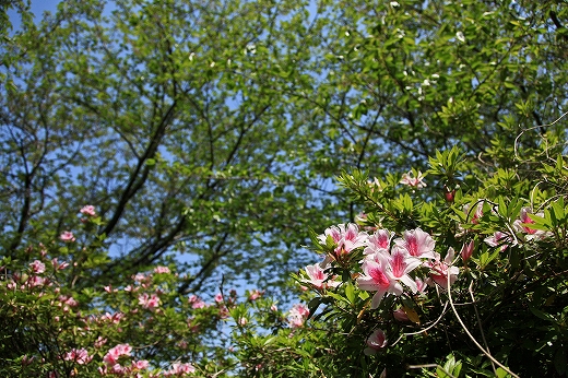 e0190885_16581920.jpg