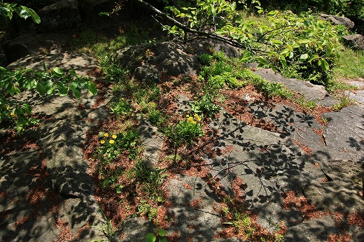 e0190885_16583533.jpg