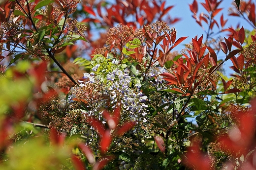 e0190885_16585120.jpg