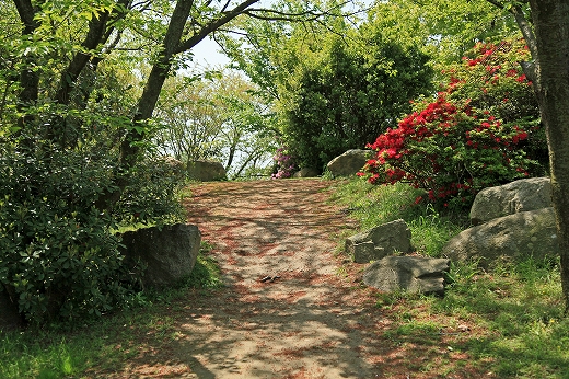 e0190885_1658611.jpg