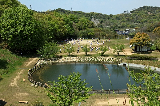 e0190885_1659075.jpg