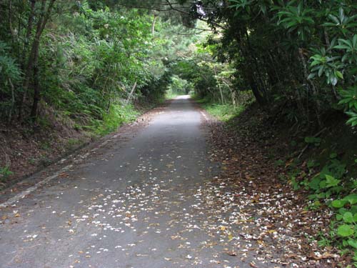 c0064389_20495160.jpg