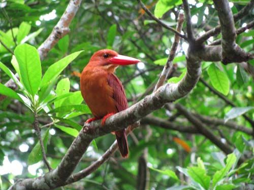 c0064389_20502633.jpg