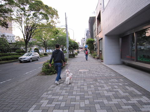 b0104592_9301417.jpg
