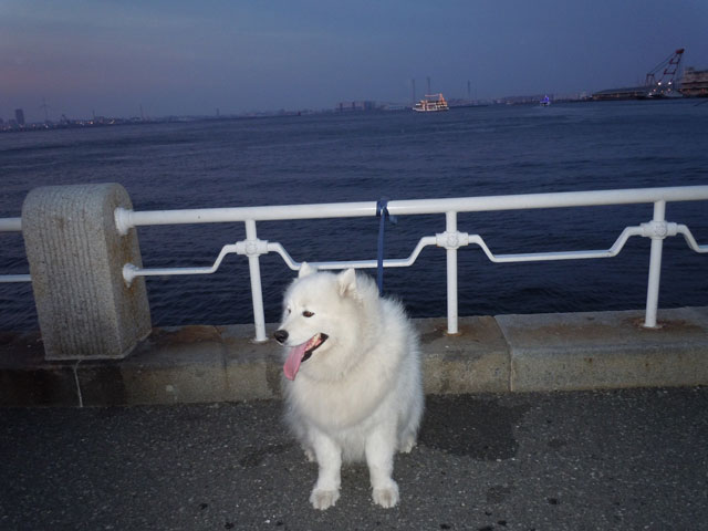 b0120492_18174782.jpg