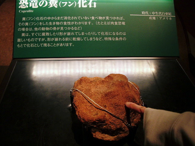 a0061594_21585616.jpg