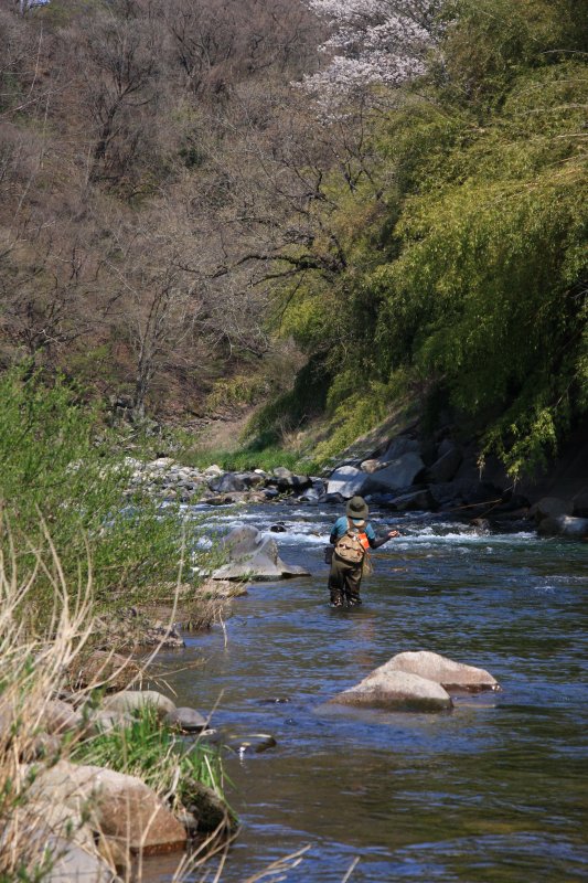 f0129994_17305790.jpg