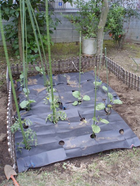 f0130894_21144442.jpg