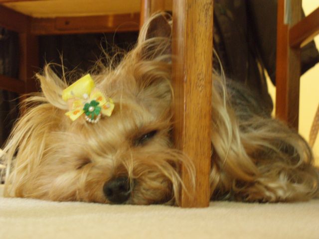 f0130894_21222062.jpg