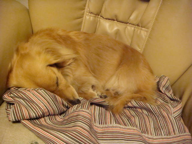 d0098295_0284071.jpg