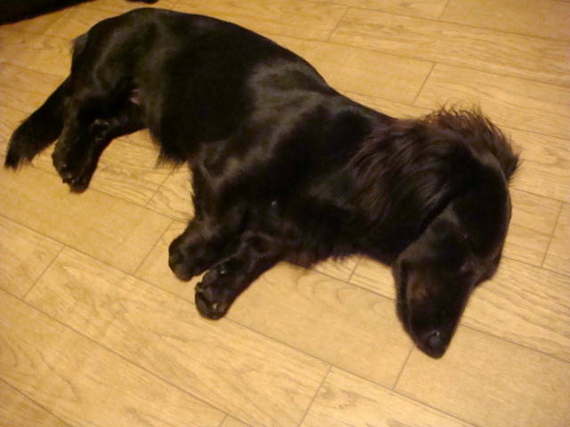 d0098295_029099.jpg