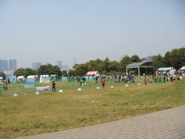 d0098295_21245371.jpg