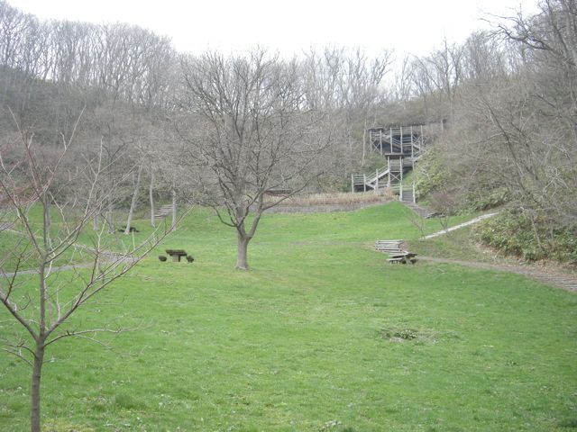 f0155495_18341567.jpg