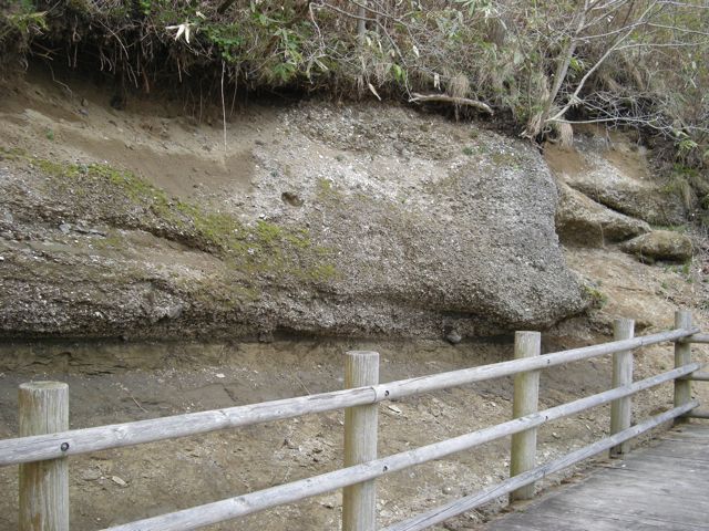 f0155495_18343368.jpg