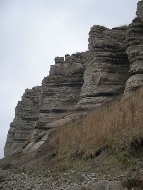 f0155495_18345110.jpg