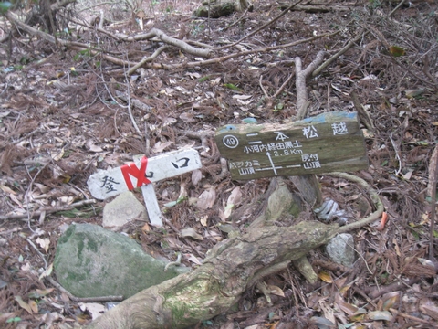 a0166196_17235788.jpg