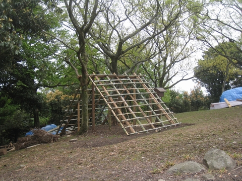 a0166196_1728516.jpg