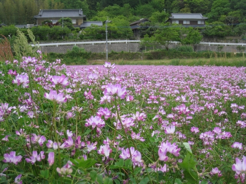 a0166196_17314914.jpg