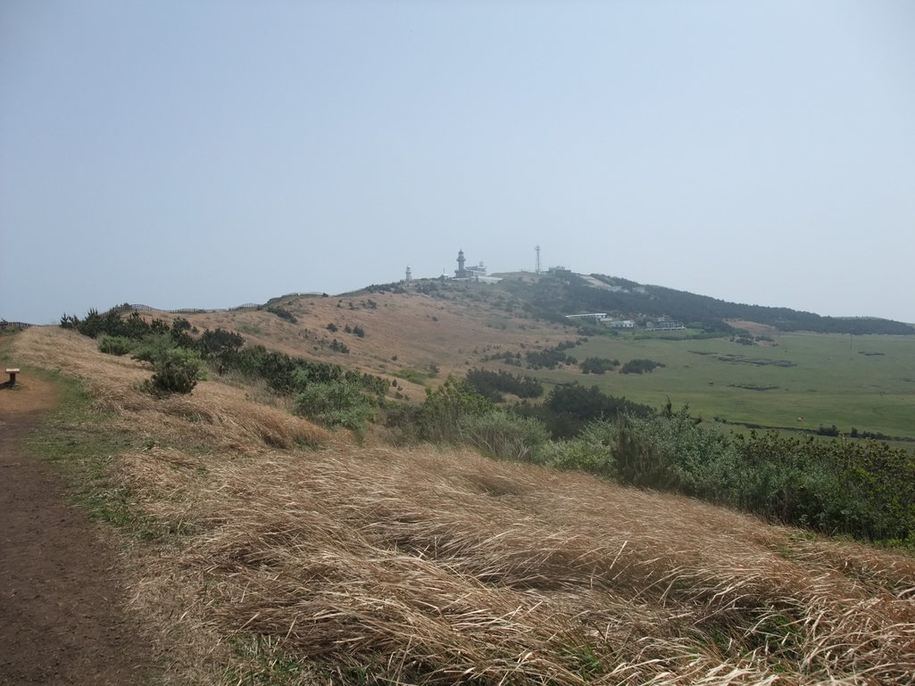 b0044296_2023787.jpg