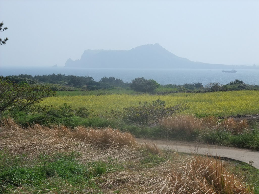 b0044296_2031427.jpg