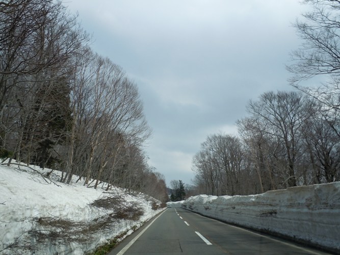 d0085096_1581053.jpg