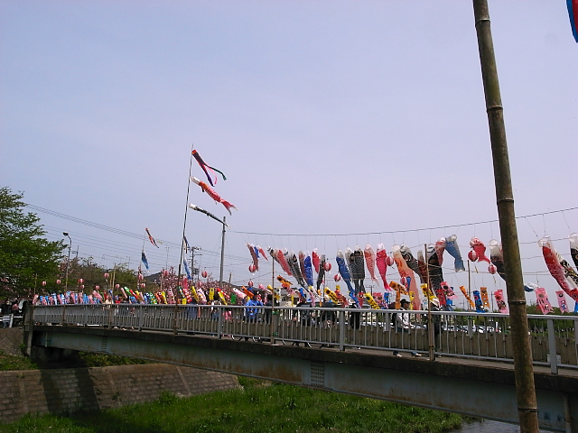 d0081997_18335998.jpg