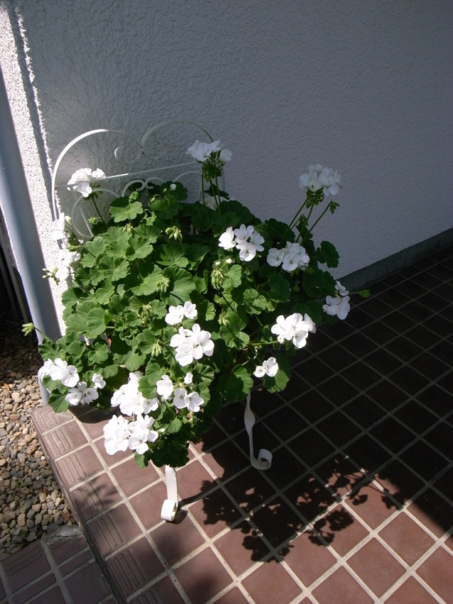 f0108399_23435534.jpg