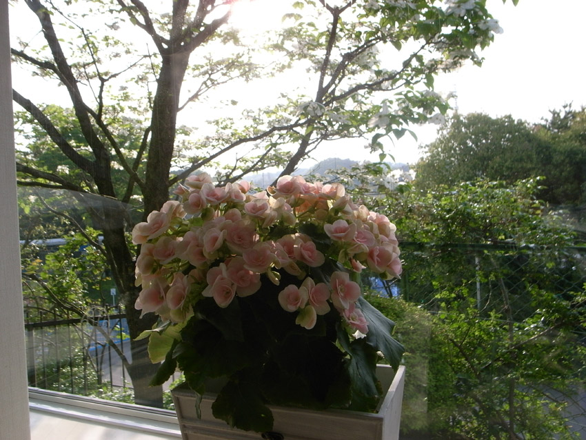 f0108399_23451444.jpg