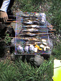 a0065800_0382375.jpg