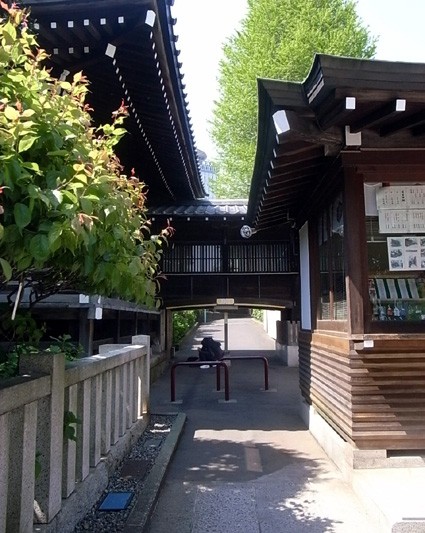 e0043700_2240567.jpg